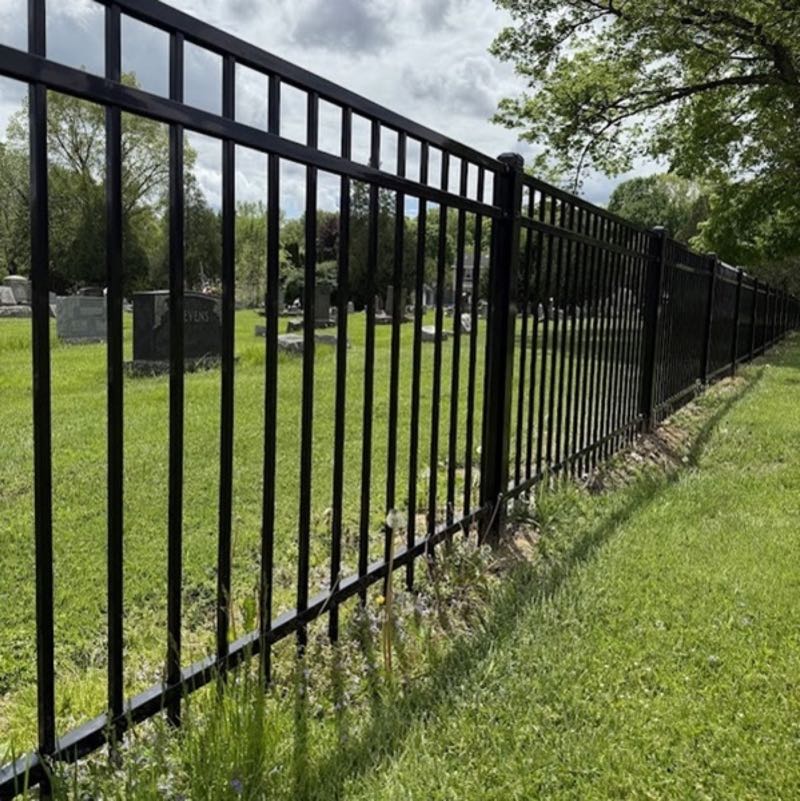 Iron Fence near Mesquite